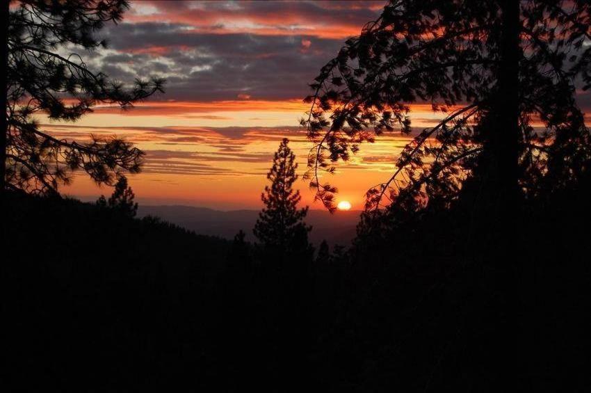Birds Eye Vista Villa Yosemite West Bagian luar foto